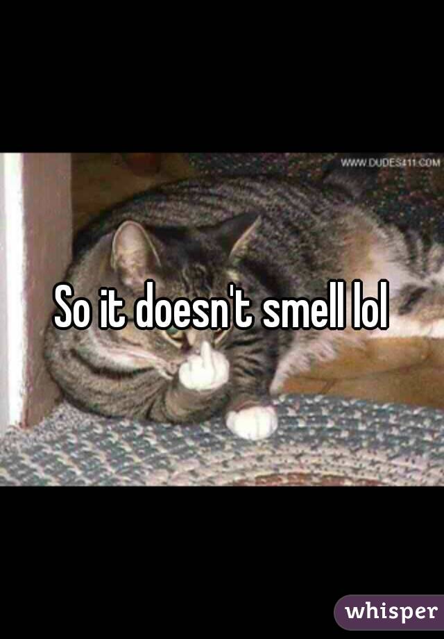 So it doesn't smell lol