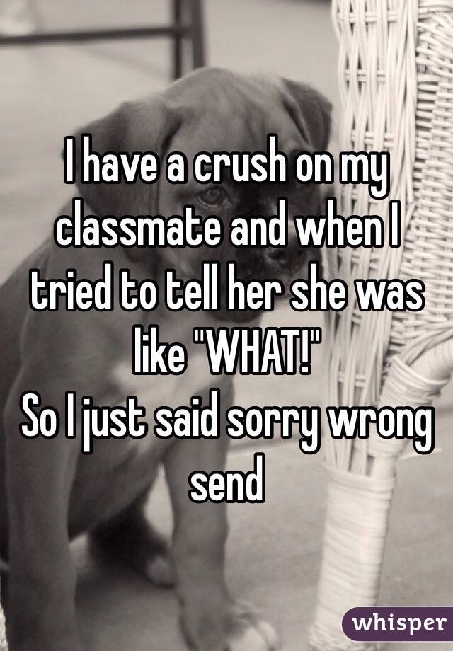 I have a crush on my classmate and when I tried to tell her she was like "WHAT!" 
So I just said sorry wrong send 