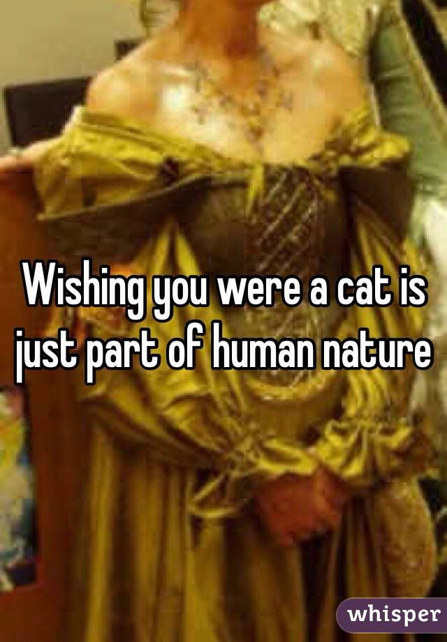 Wishing you were a cat is just part of human nature 