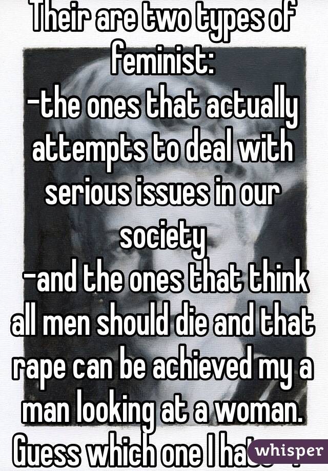 Their are two types of feminist:
-the ones that actually attempts to deal with serious issues in our society
 -and the ones that think all men should die and that rape can be achieved my a man looking at a woman.
Guess which one I hate -.-