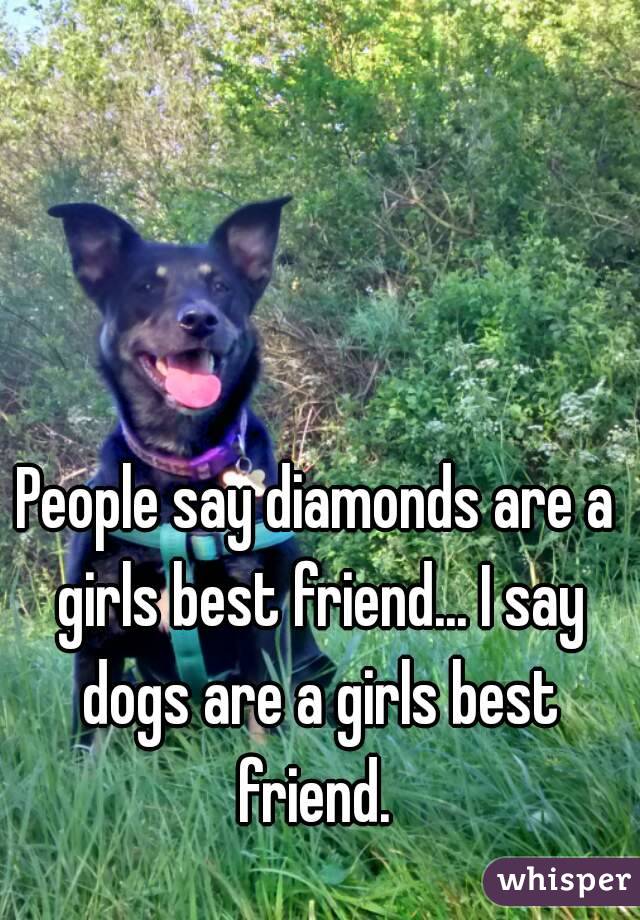 People say diamonds are a girls best friend... I say dogs are a girls best friend. 