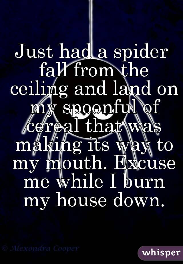 Just had a spider fall from the ceiling and land on my spoonful of cereal that was making its way to my mouth. Excuse me while I burn my house down.