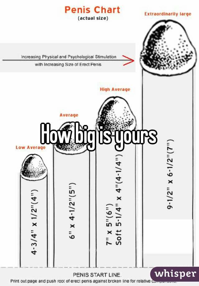 How big is yours