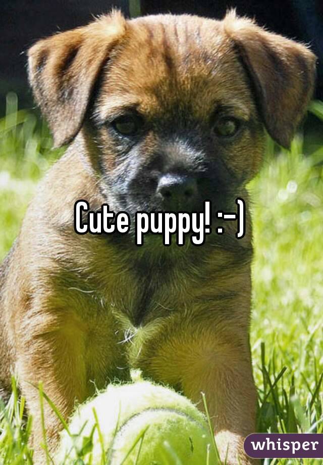 Cute puppy! :-)