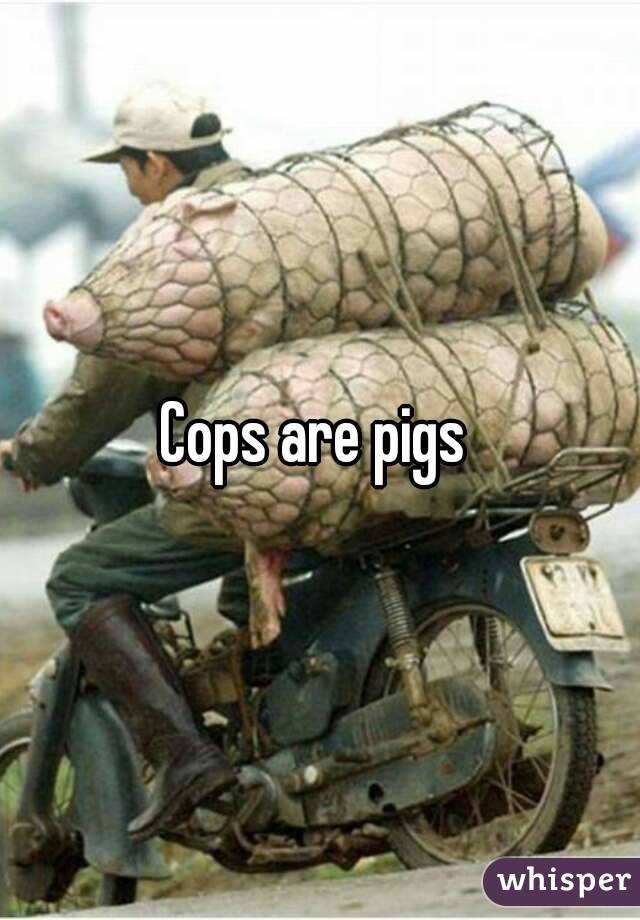 Cops are pigs 