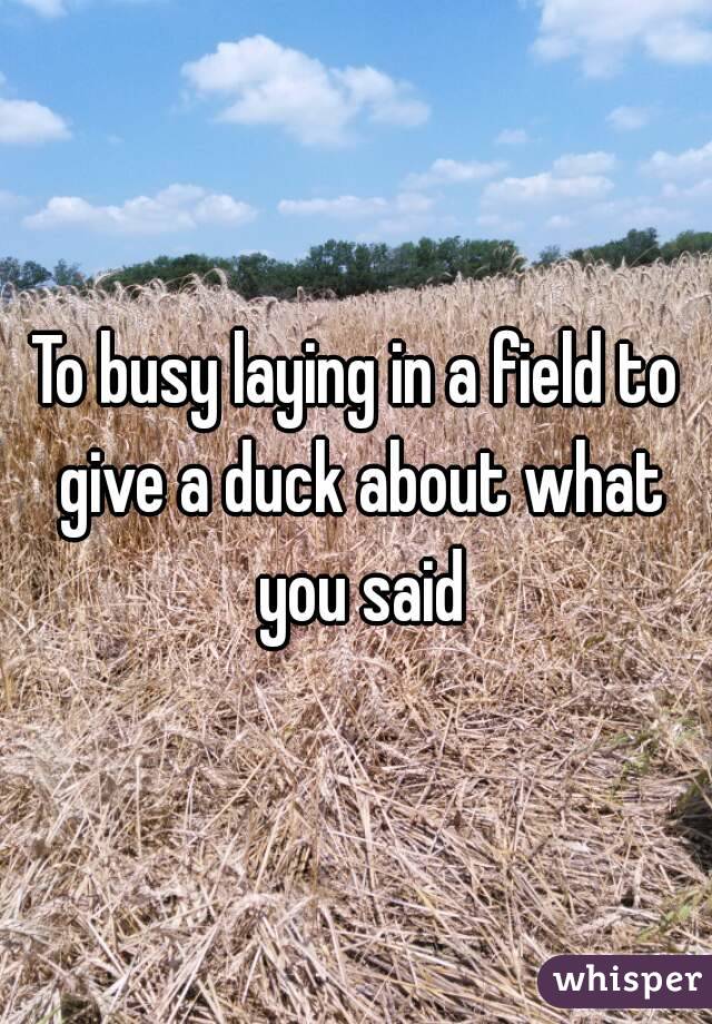 To busy laying in a field to give a duck about what you said