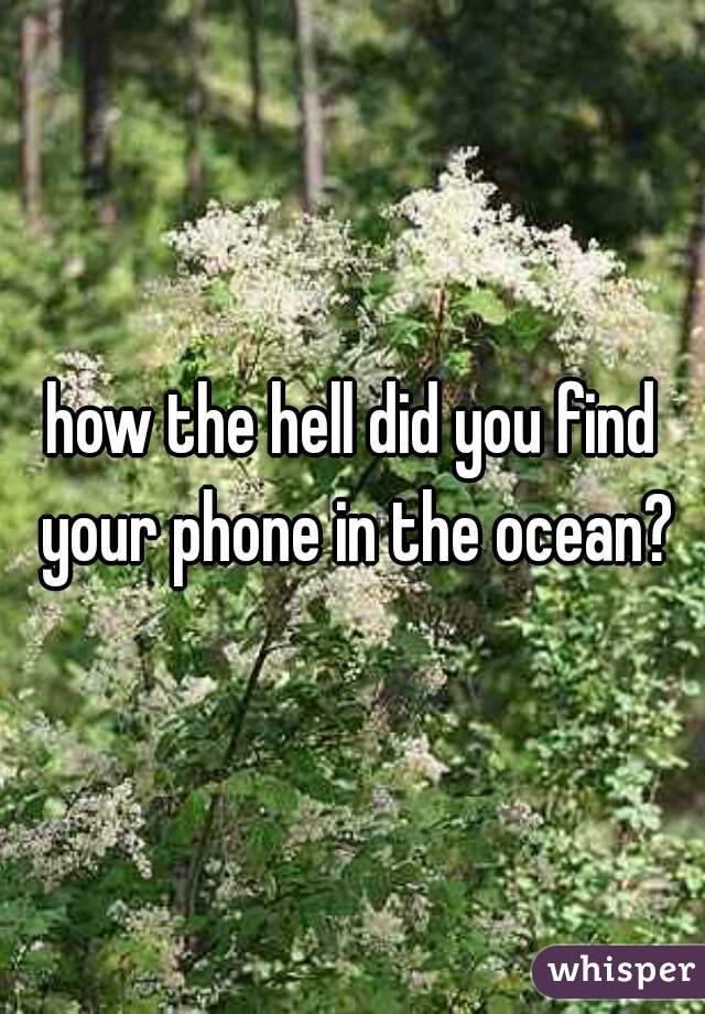 how the hell did you find your phone in the ocean?