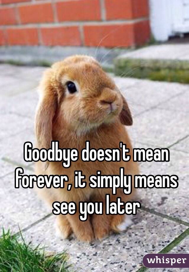 Goodbye doesn't mean forever, it simply means see you later