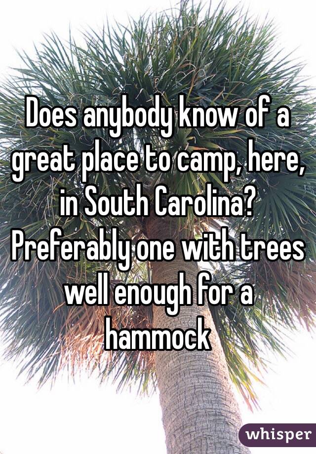 Does anybody know of a great place to camp, here, in South Carolina? Preferably one with trees well enough for a hammock