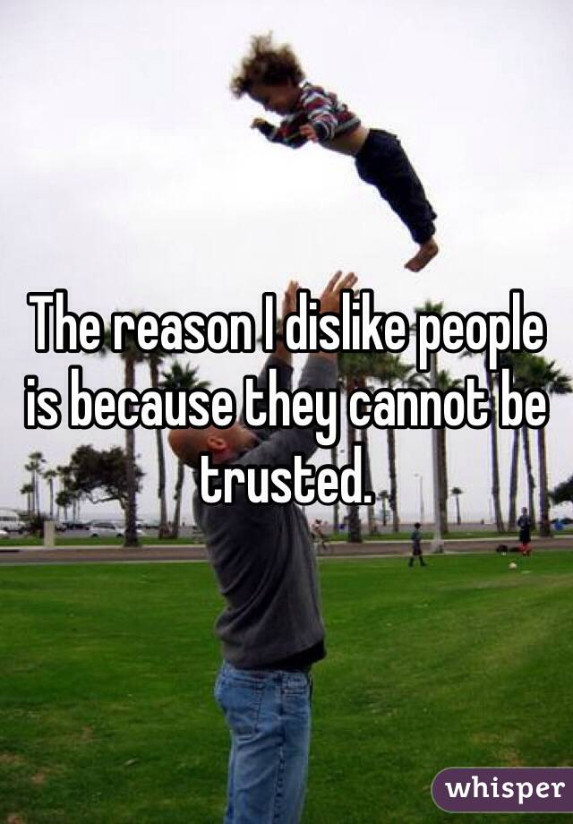 The reason I dislike people is because they cannot be trusted. 