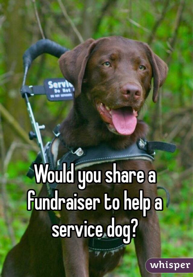 Would you share a fundraiser to help a service dog?