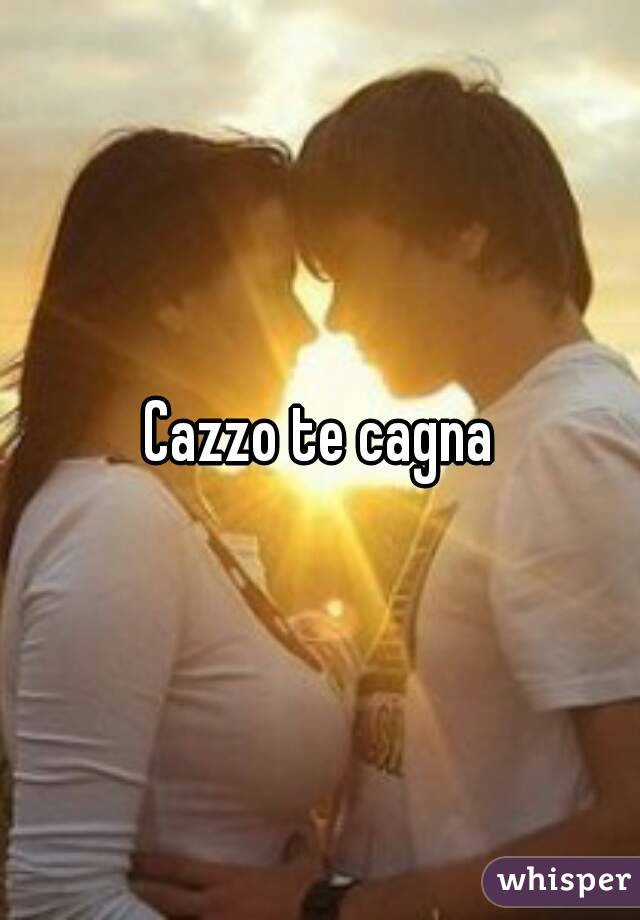 Cazzo te cagna