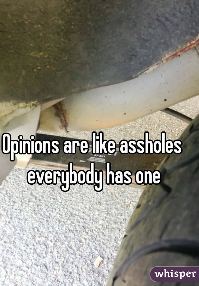 Opinions are like assholes everybody has one