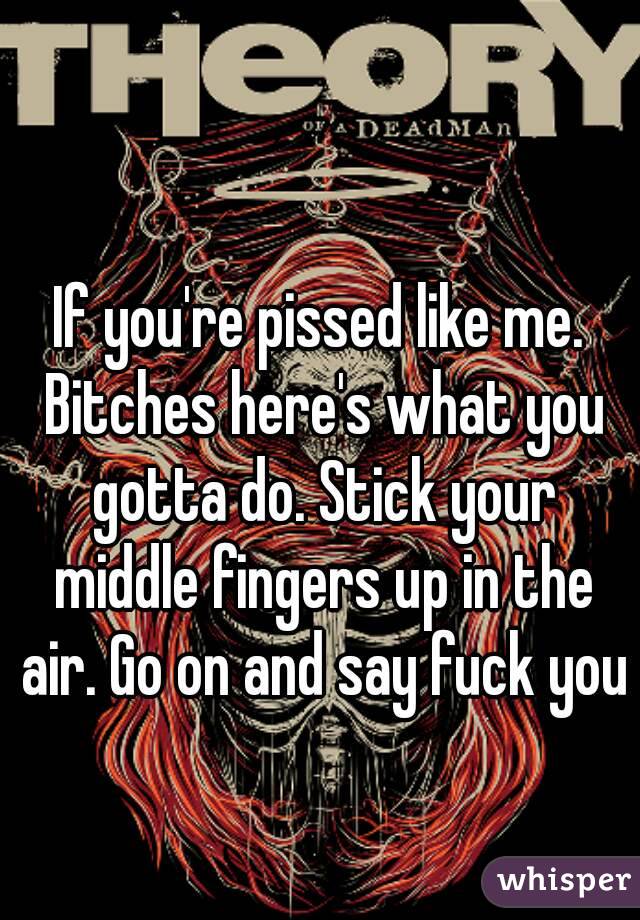 If you're pissed like me. Bitches here's what you gotta do. Stick your middle fingers up in the air. Go on and say fuck you