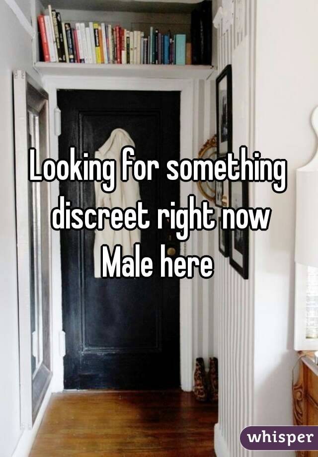 Looking for something discreet right now
Male here