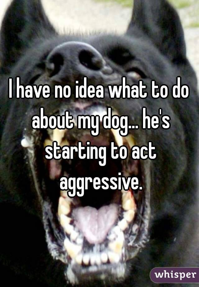 I have no idea what to do about my dog... he's starting to act aggressive.