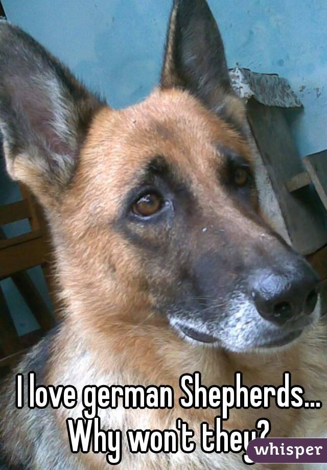 I love german Shepherds... Why won't they? 