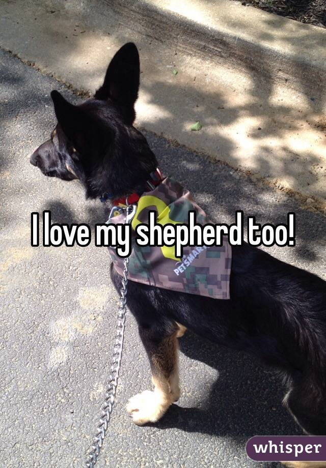 I love my shepherd too! 