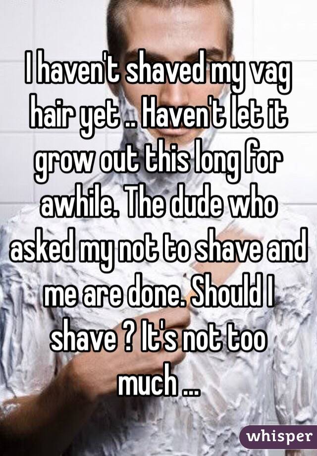 I haven't shaved my vag hair yet .. Haven't let it grow out this long for awhile. The dude who asked my not to shave and me are done. Should I shave ? It's not too much ...
