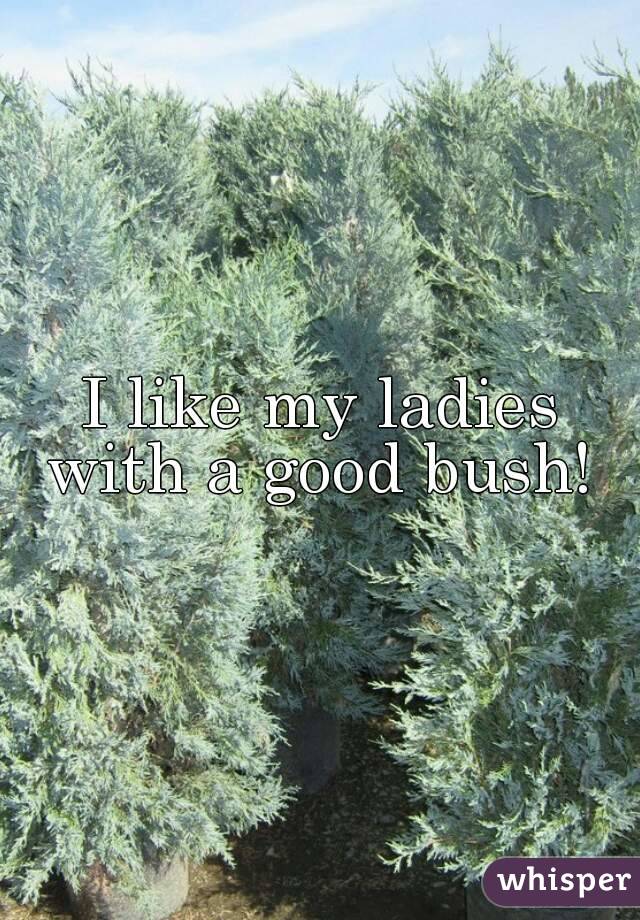 I like my ladies with a good bush! 