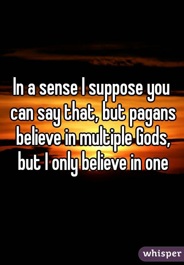 In a sense I suppose you can say that, but pagans believe in multiple Gods, but I only believe in one