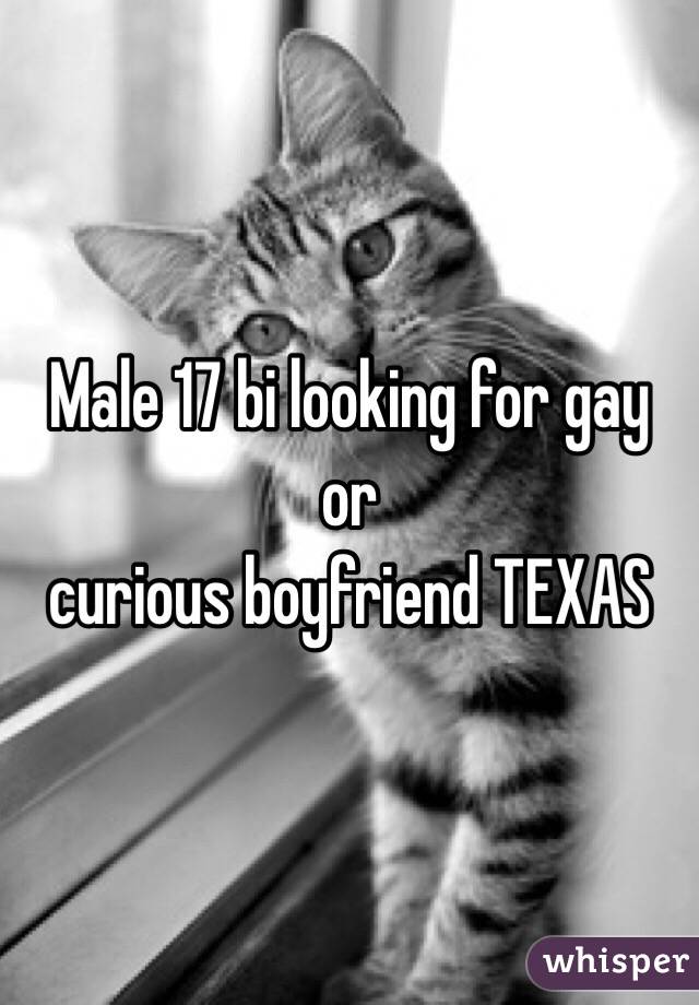 Male 17 bi looking for gay or 
curious boyfriend TEXAS