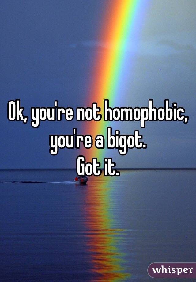 Ok, you're not homophobic, you're a bigot.
Got it.