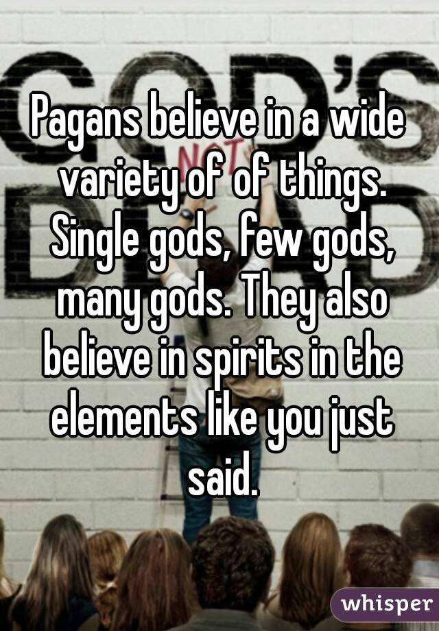 Pagans believe in a wide variety of of things. Single gods, few gods, many gods. They also believe in spirits in the elements like you just said.