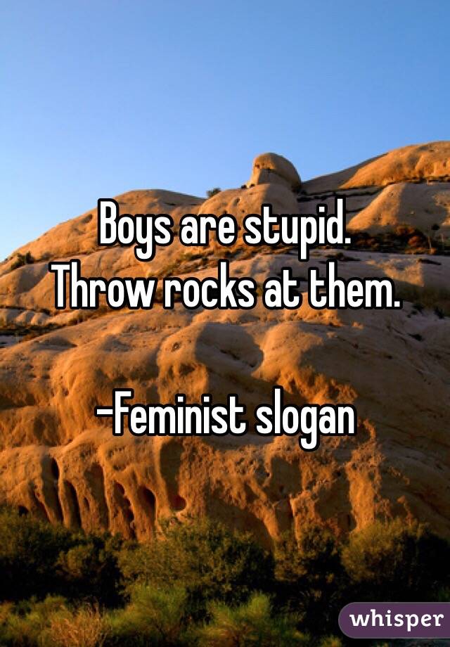 Boys are stupid.
Throw rocks at them.

-Feminist slogan