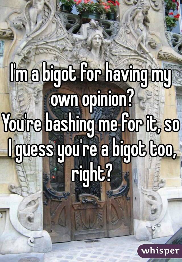 I'm a bigot for having my own opinion?
You're bashing me for it, so I guess you're a bigot too, right?