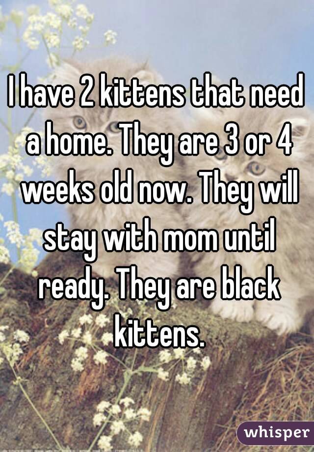 I have 2 kittens that need a home. They are 3 or 4 weeks old now. They will stay with mom until ready. They are black kittens.