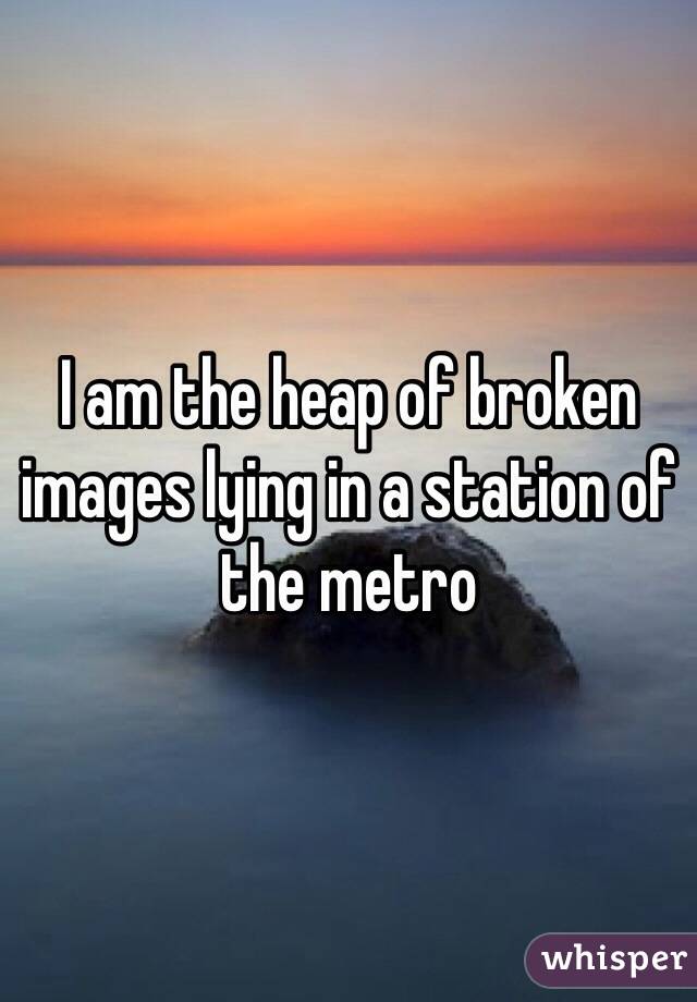 I am the heap of broken images lying in a station of the metro