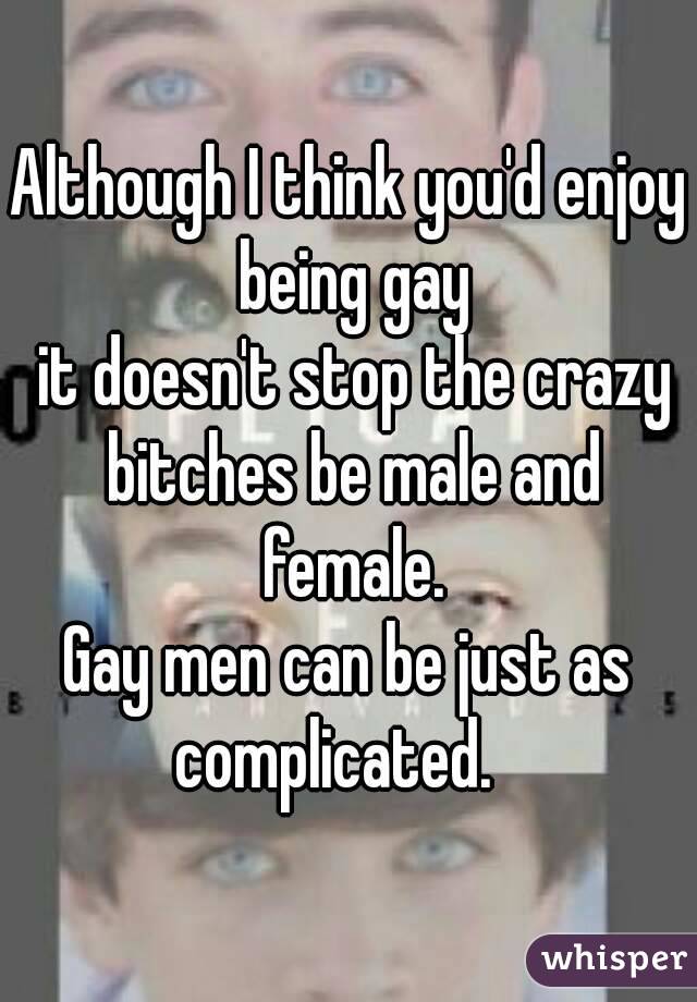 Although I think you'd enjoy being gay
 it doesn't stop the crazy bitches be male and female.
Gay men can be just as complicated.   