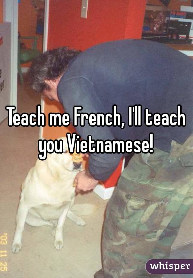 Teach me French, I'll teach you Vietnamese! 