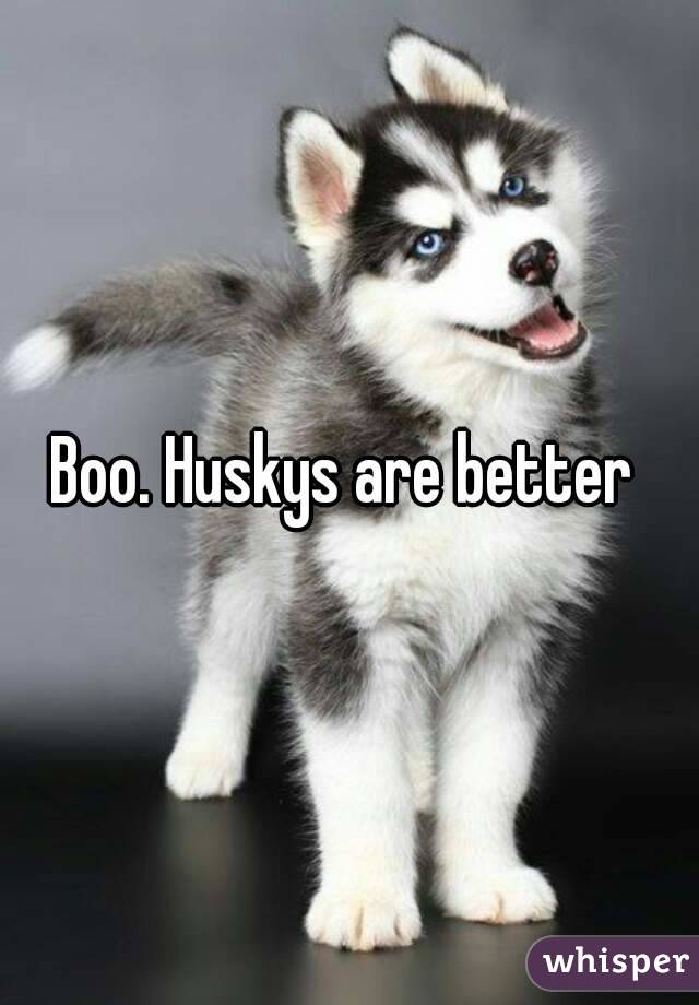 Boo. Huskys are better 