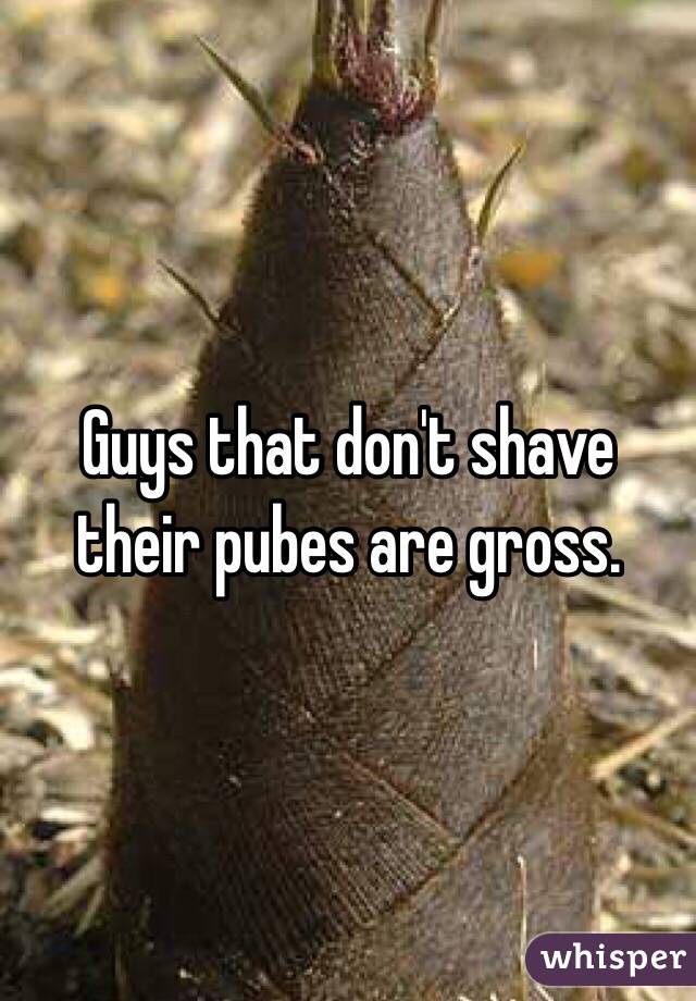 Guys that don't shave their pubes are gross. 