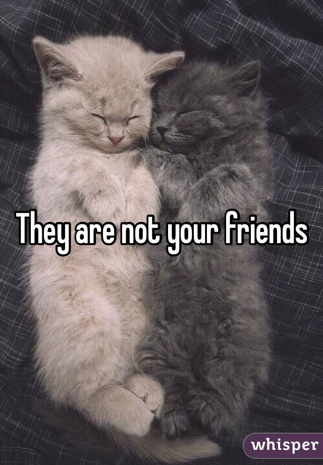 They are not your friends