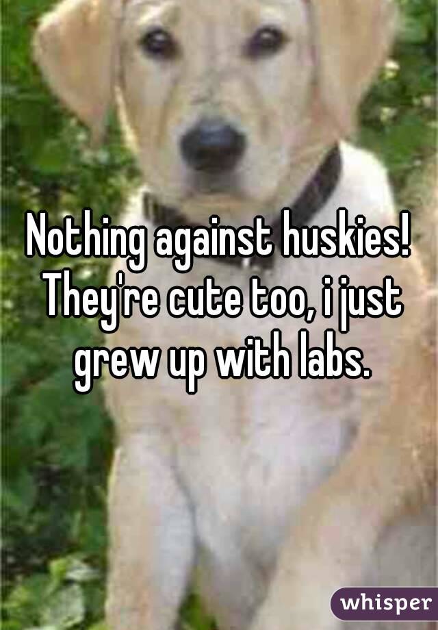 Nothing against huskies! They're cute too, i just grew up with labs.