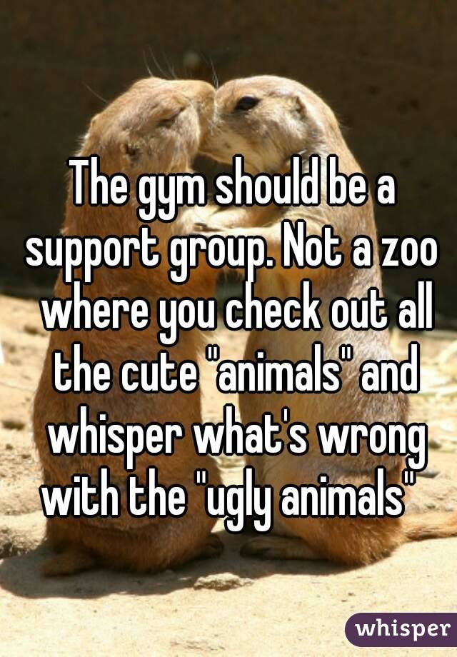 The gym should be a support group. Not a zoo  where you check out all the cute "animals" and whisper what's wrong with the "ugly animals"  