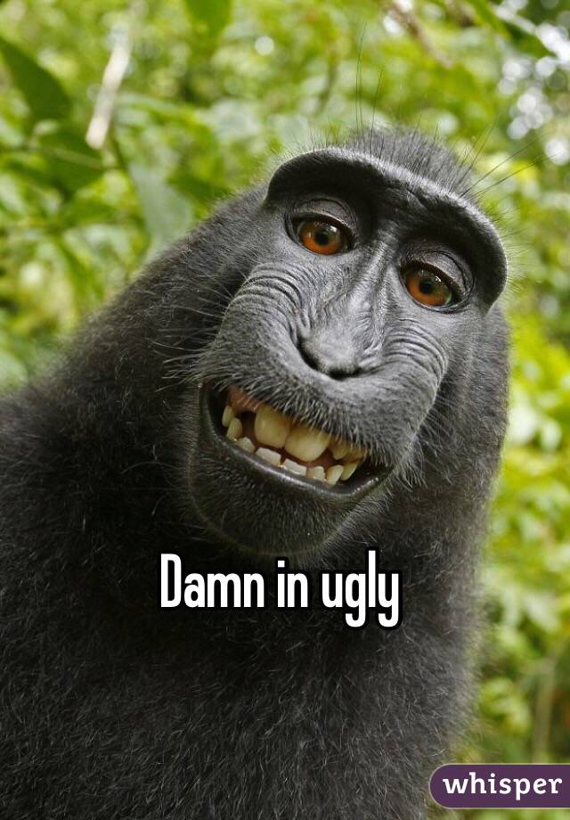 Damn in ugly