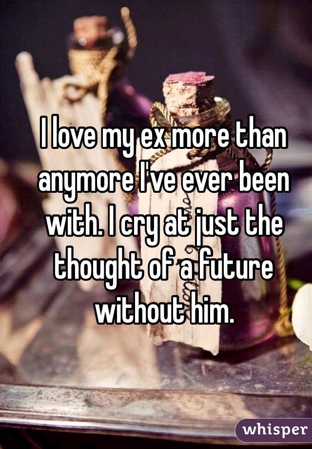I love my ex more than anymore I've ever been with. I cry at just the thought of a future without him. 