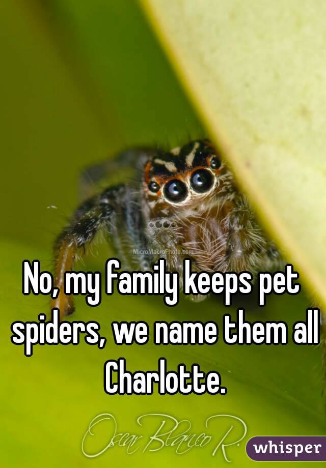 No, my family keeps pet spiders, we name them all Charlotte.