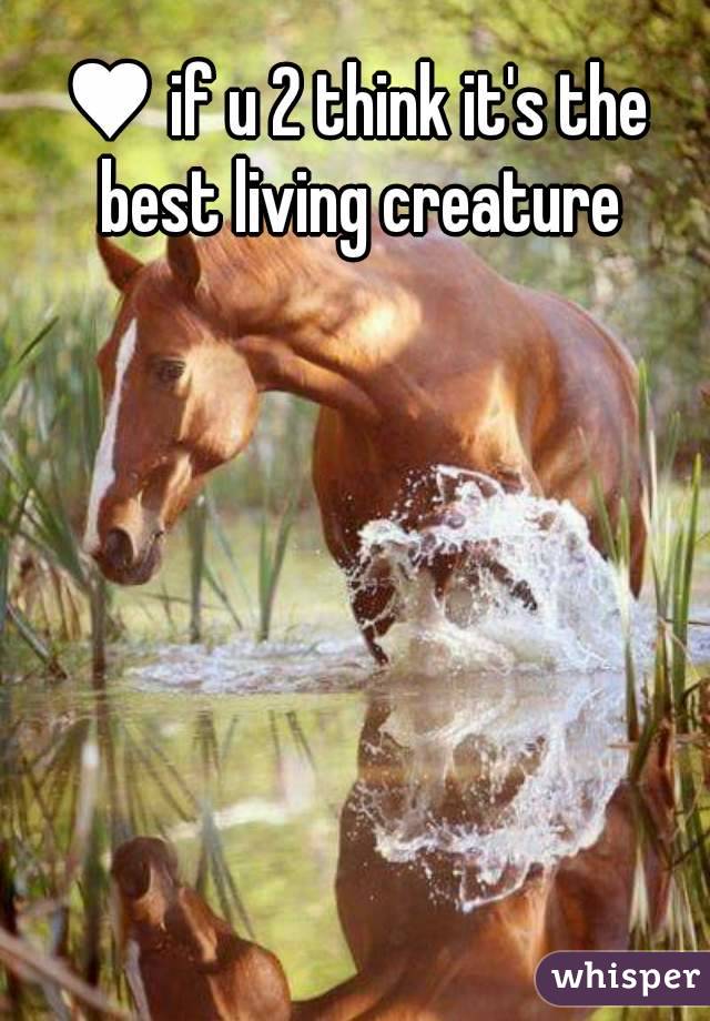 ♥ if u 2 think it's the best living creature