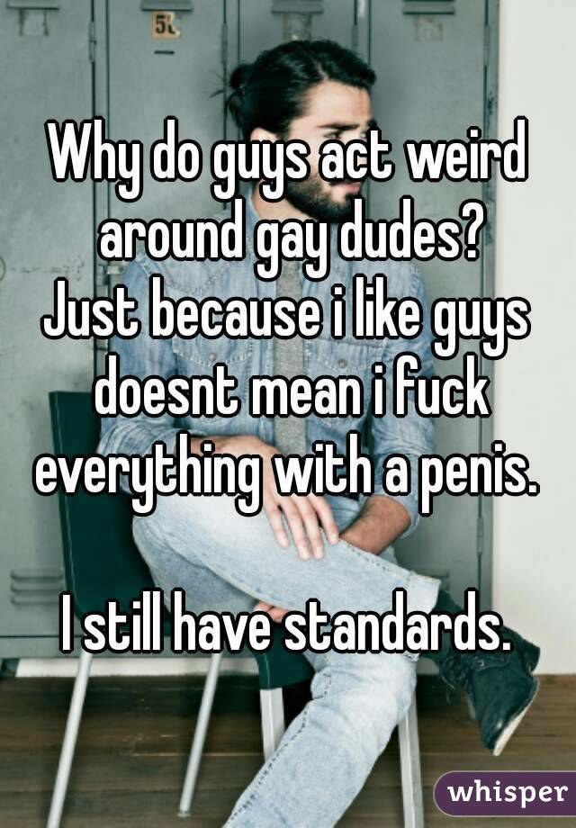 Why do guys act weird around gay dudes?
Just because i like guys doesnt mean i fuck everything with a penis. 

I still have standards.