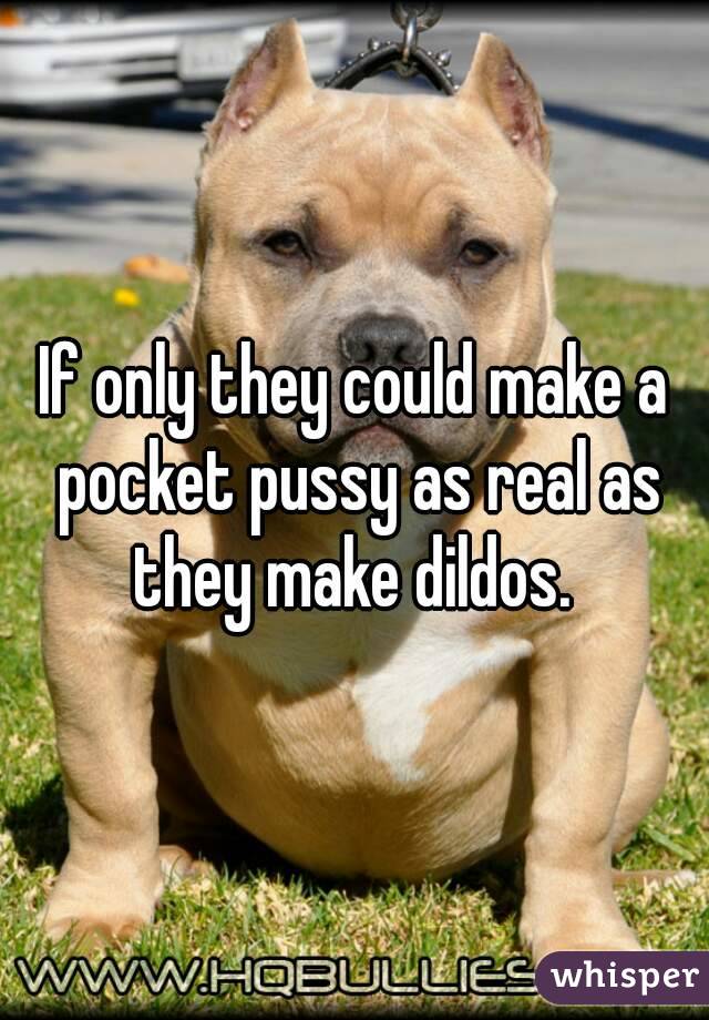 If only they could make a pocket pussy as real as they make dildos. 