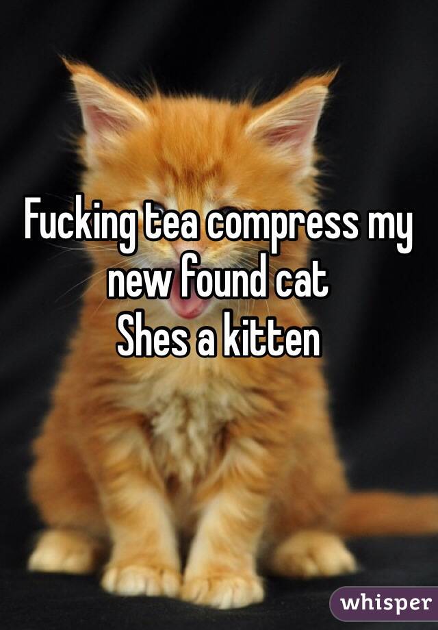Fucking tea compress my new found cat
Shes a kitten
 