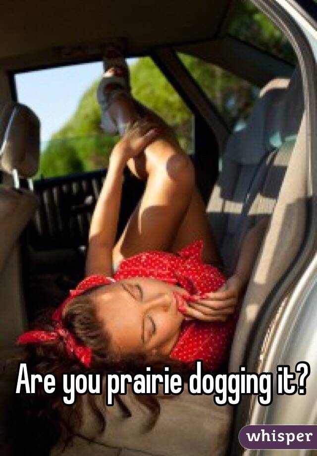 Are you prairie dogging it?