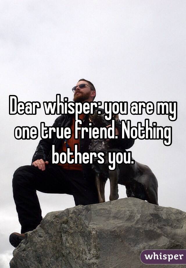 Dear whisper: you are my one true friend. Nothing bothers you. 