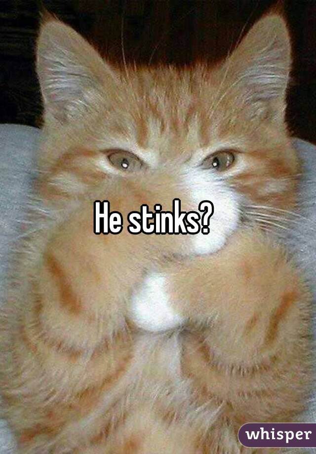 He stinks? 