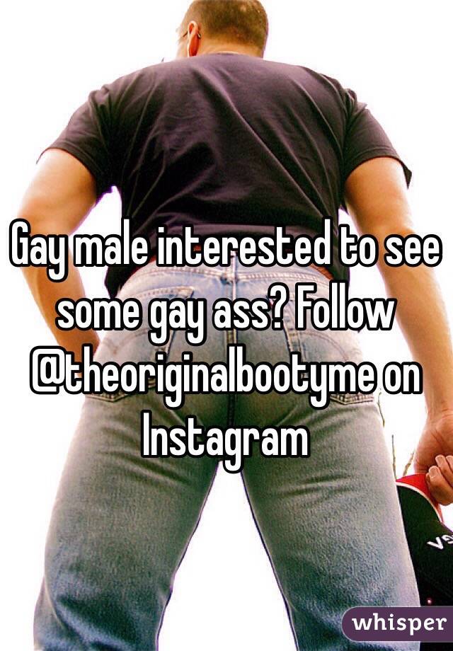 Gay male interested to see some gay ass? Follow @theoriginalbootyme on Instagram 